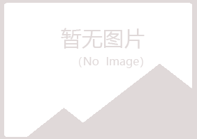 湖里区夏岚工程有限公司